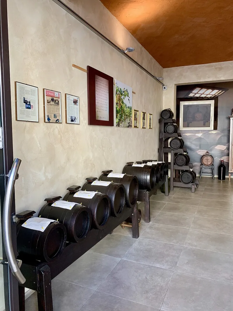 Aceto balsamico: come usarlo davvero (e smettere di sprecarlo sul primo piatto che capita)